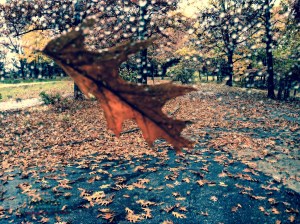 IMG_3692 - Version 2